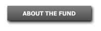 ABOUT THE FUND