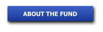 ABOUT THE FUND